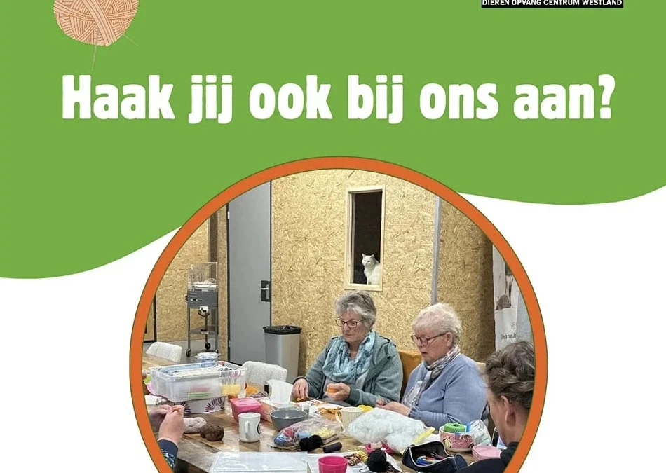 Haak je aan bij het Haakcafé DOCW