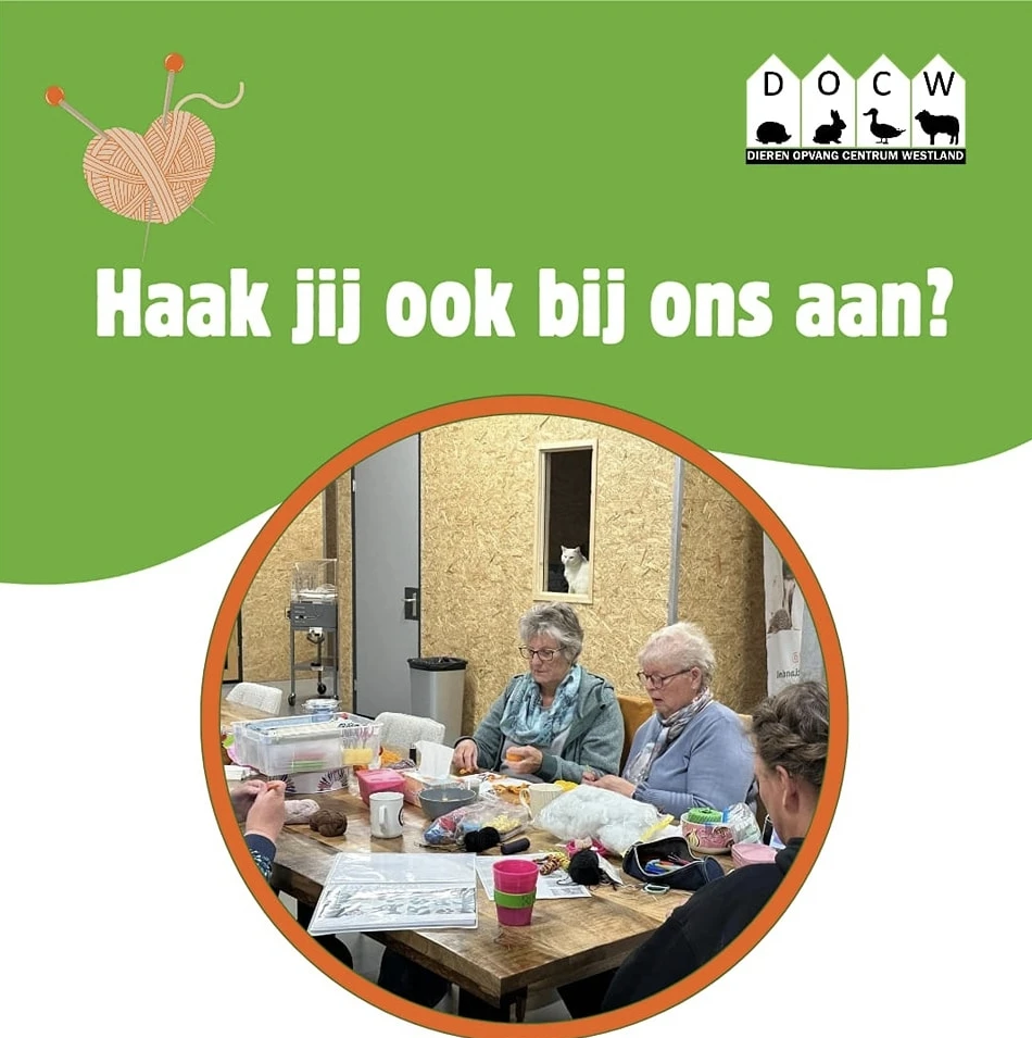 Haak je aan bij het Haakcafé DOCW