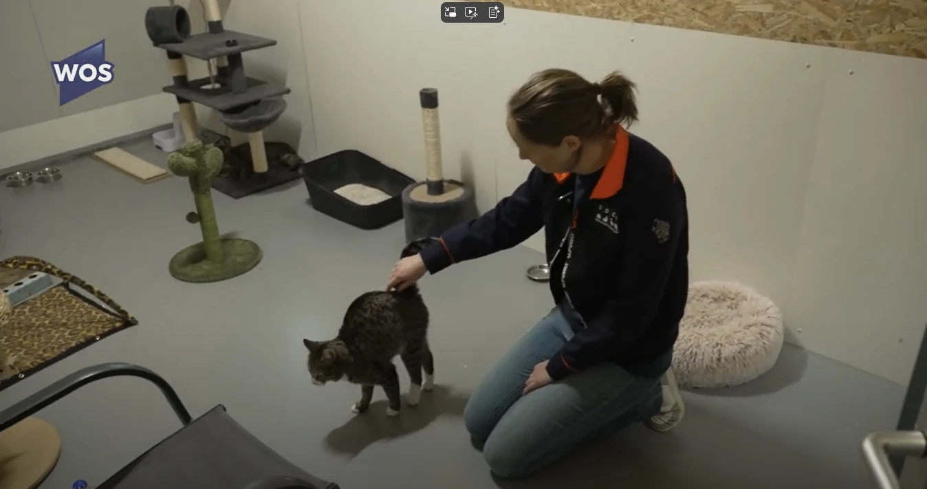 Dierenopvangcentrum Westland breidt uit met asiel functie per 1 januari 2025.