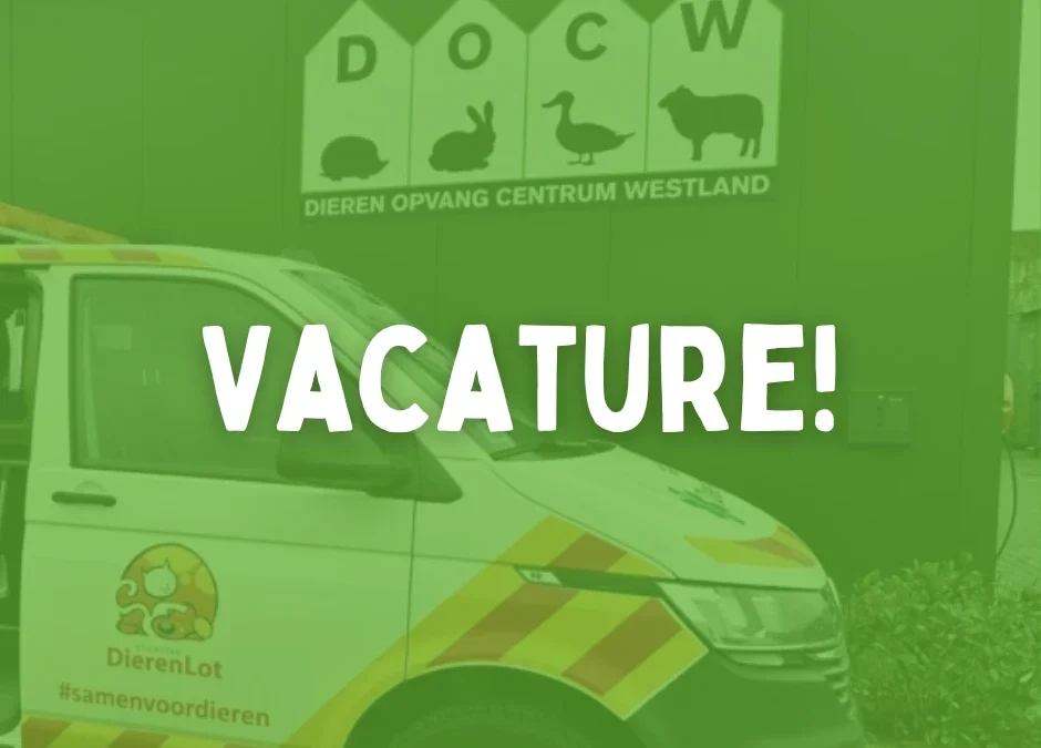 Solliciteer nu! Assistent Locatie Beheerder 24 uur