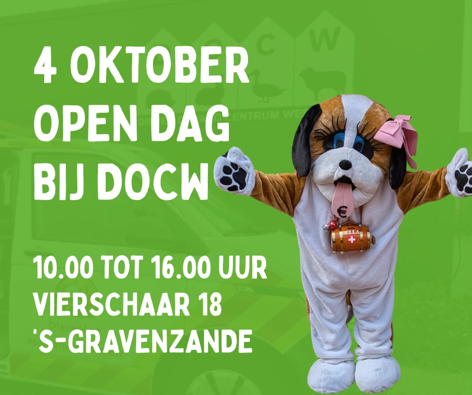 Open Dag bij DOCW – zaterdag 4 oktober