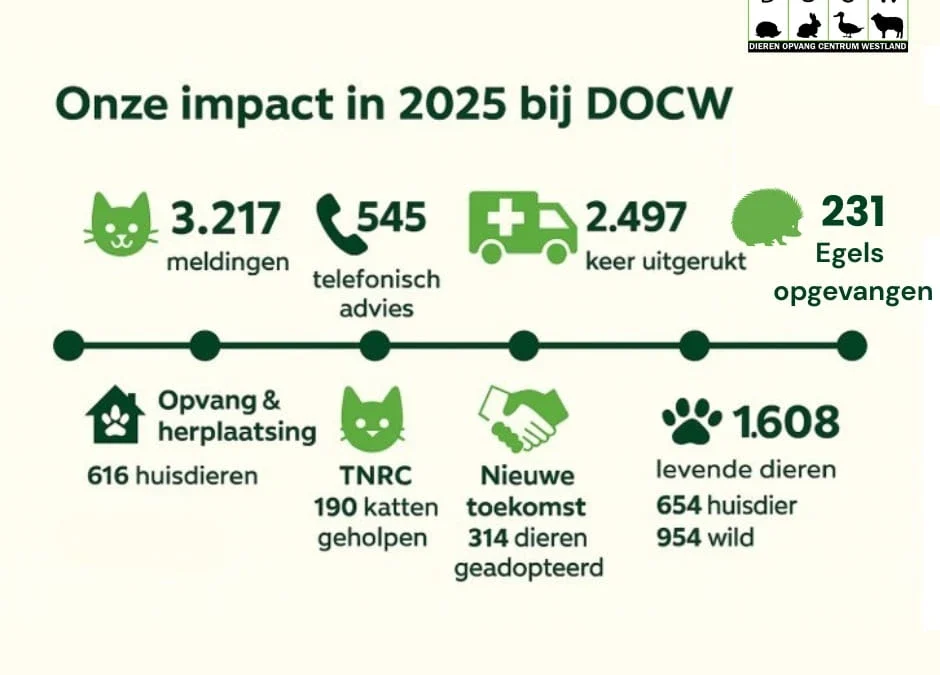 Dierenopvangcentrum Westland blikt terug op een succesvol 2025