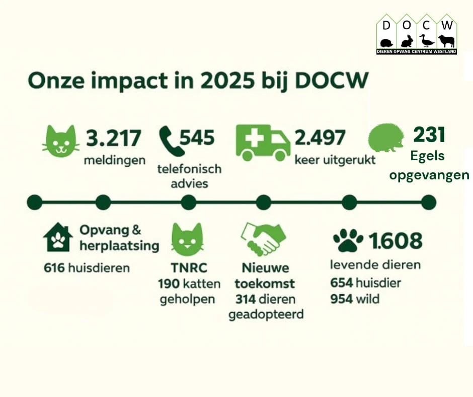 Dierenopvangcentrum Westland blikt terug op een succesvol 2025