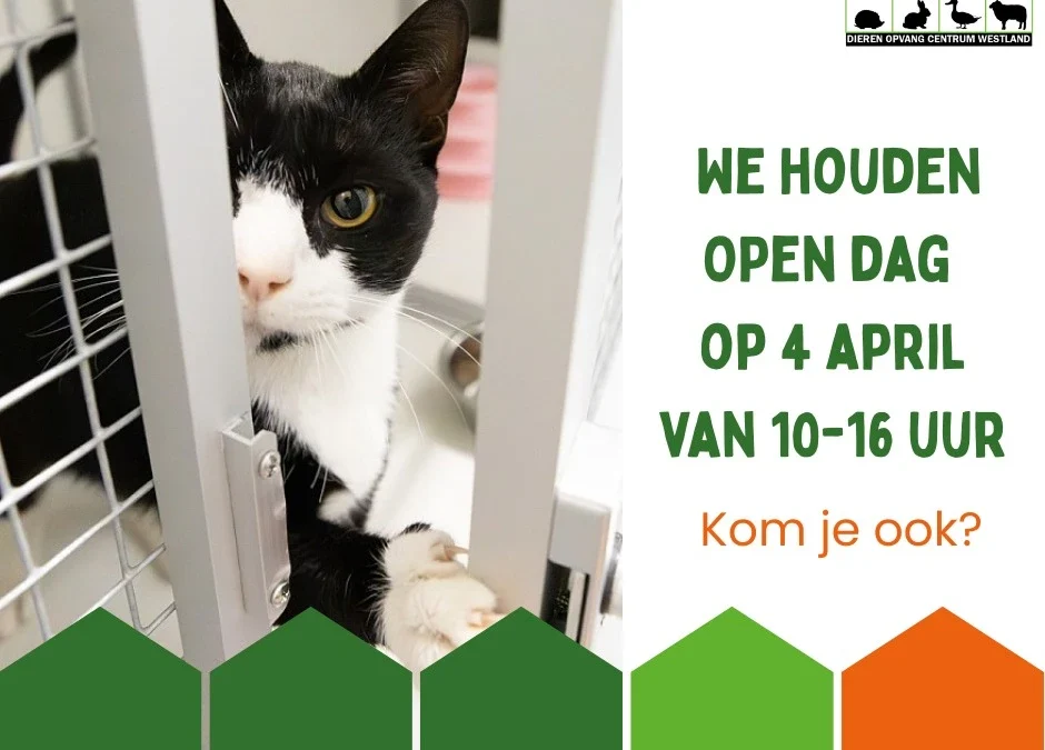 Open Dag bij DOCW – zaterdag 4 april