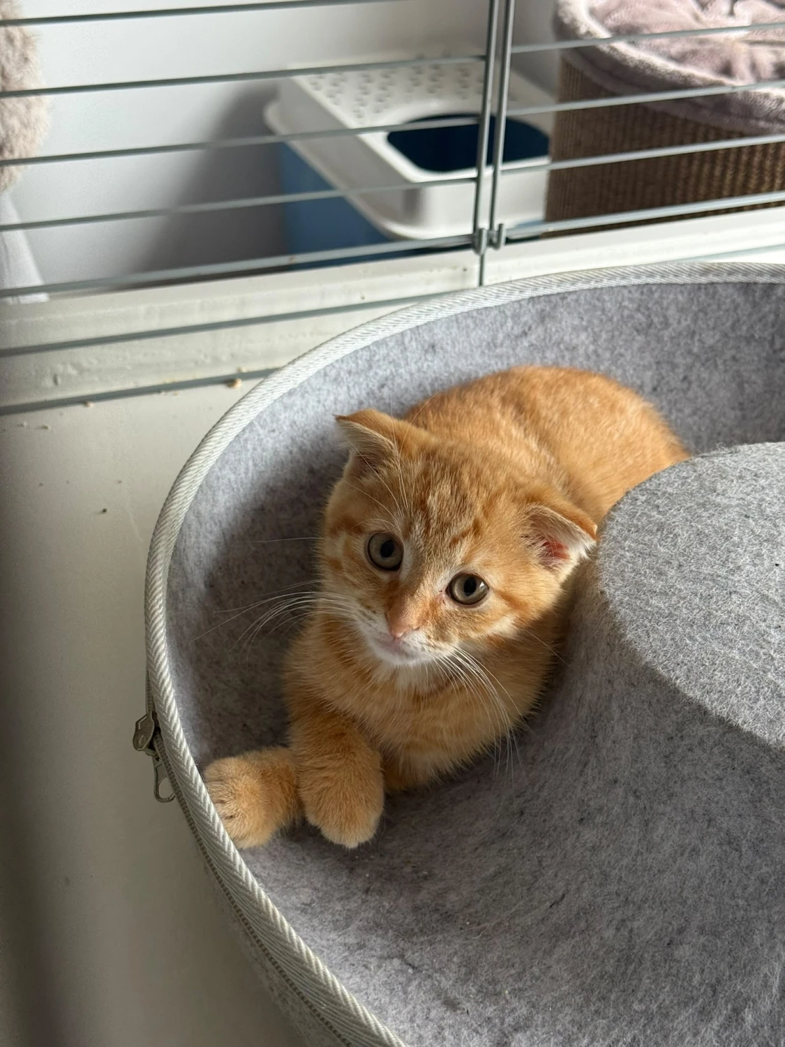 Pieter, foto 2
