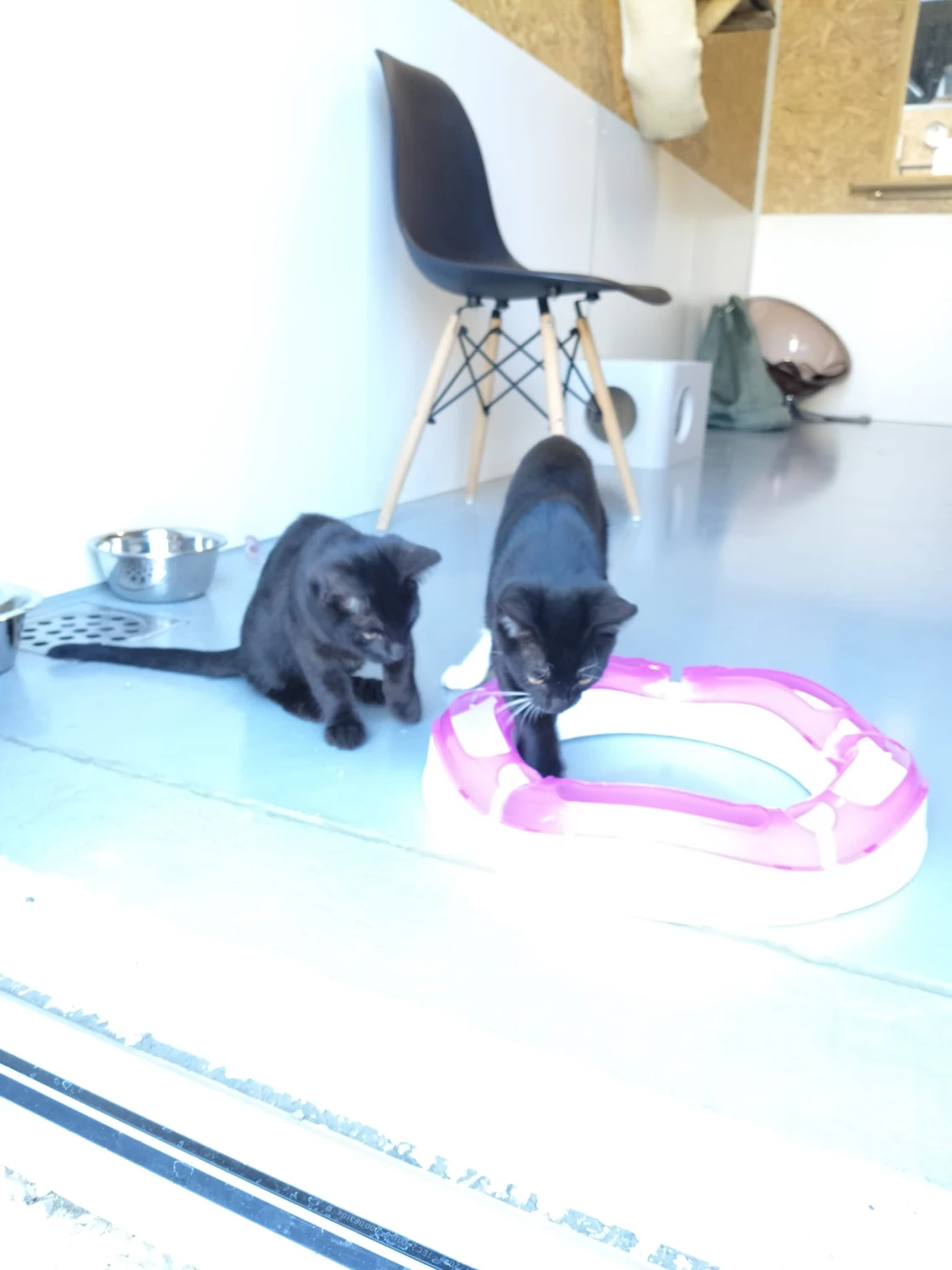 Paco & Perry