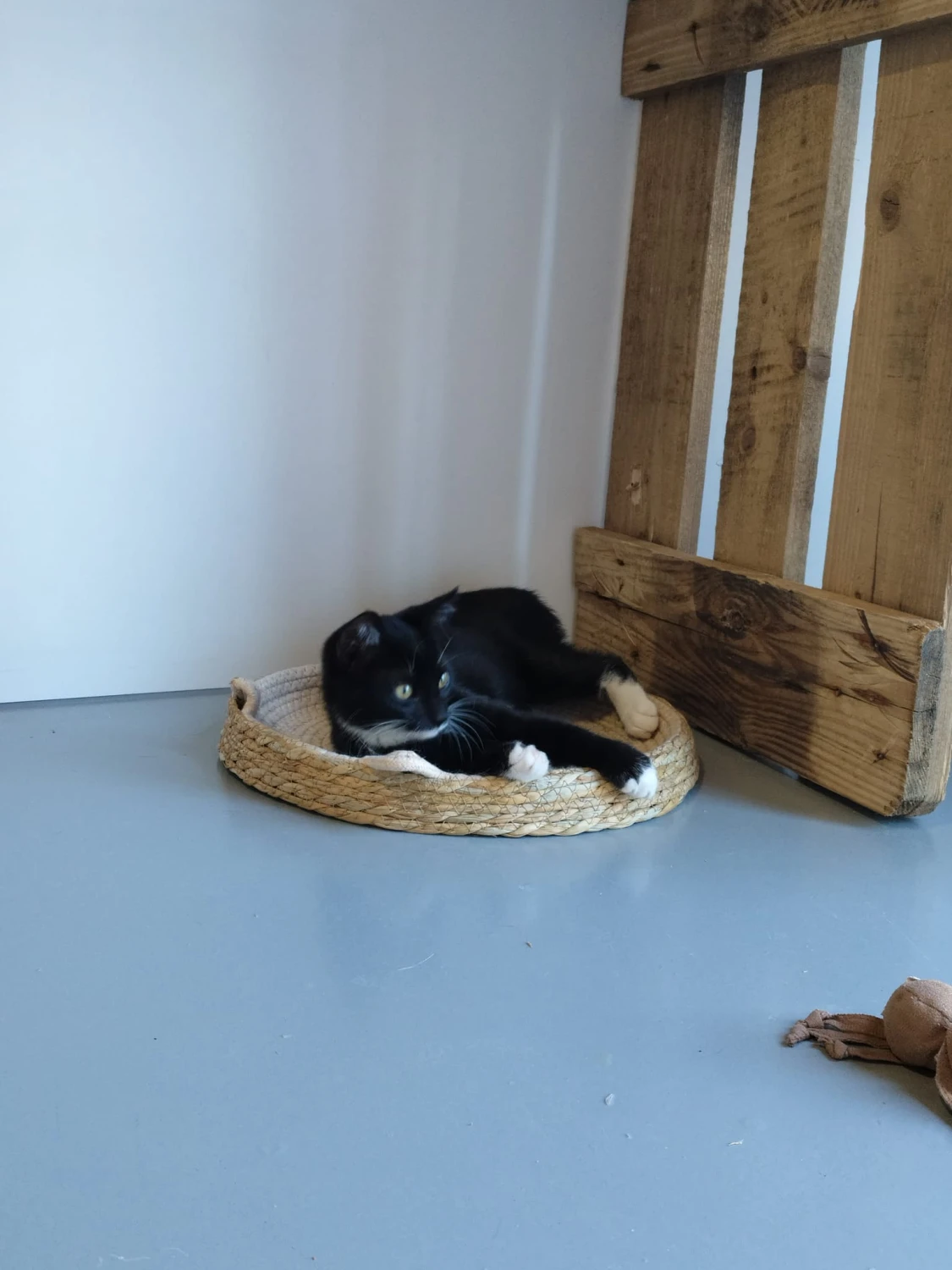 Paco & Perry, foto 4