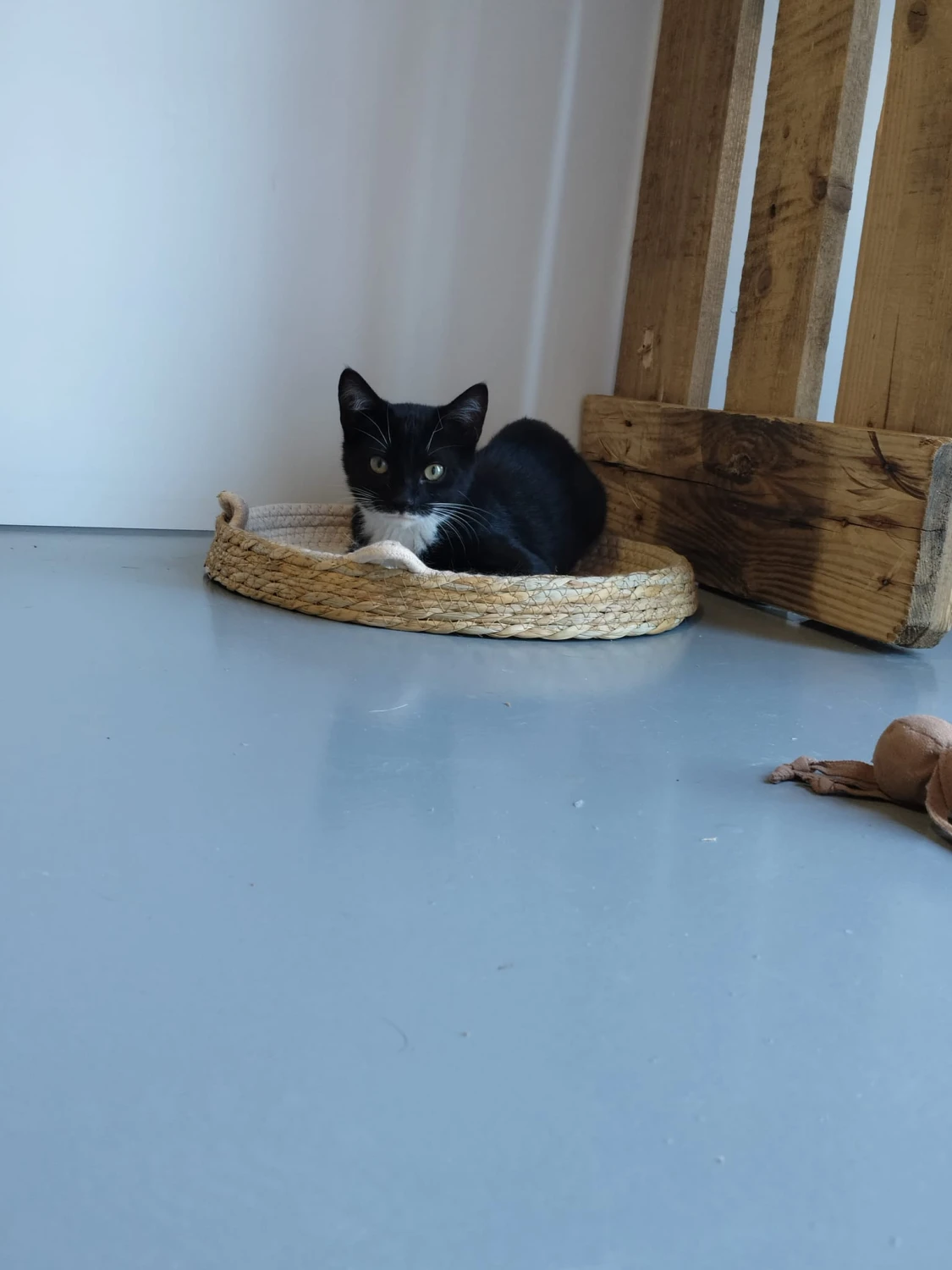 Paco & Perry, foto 3