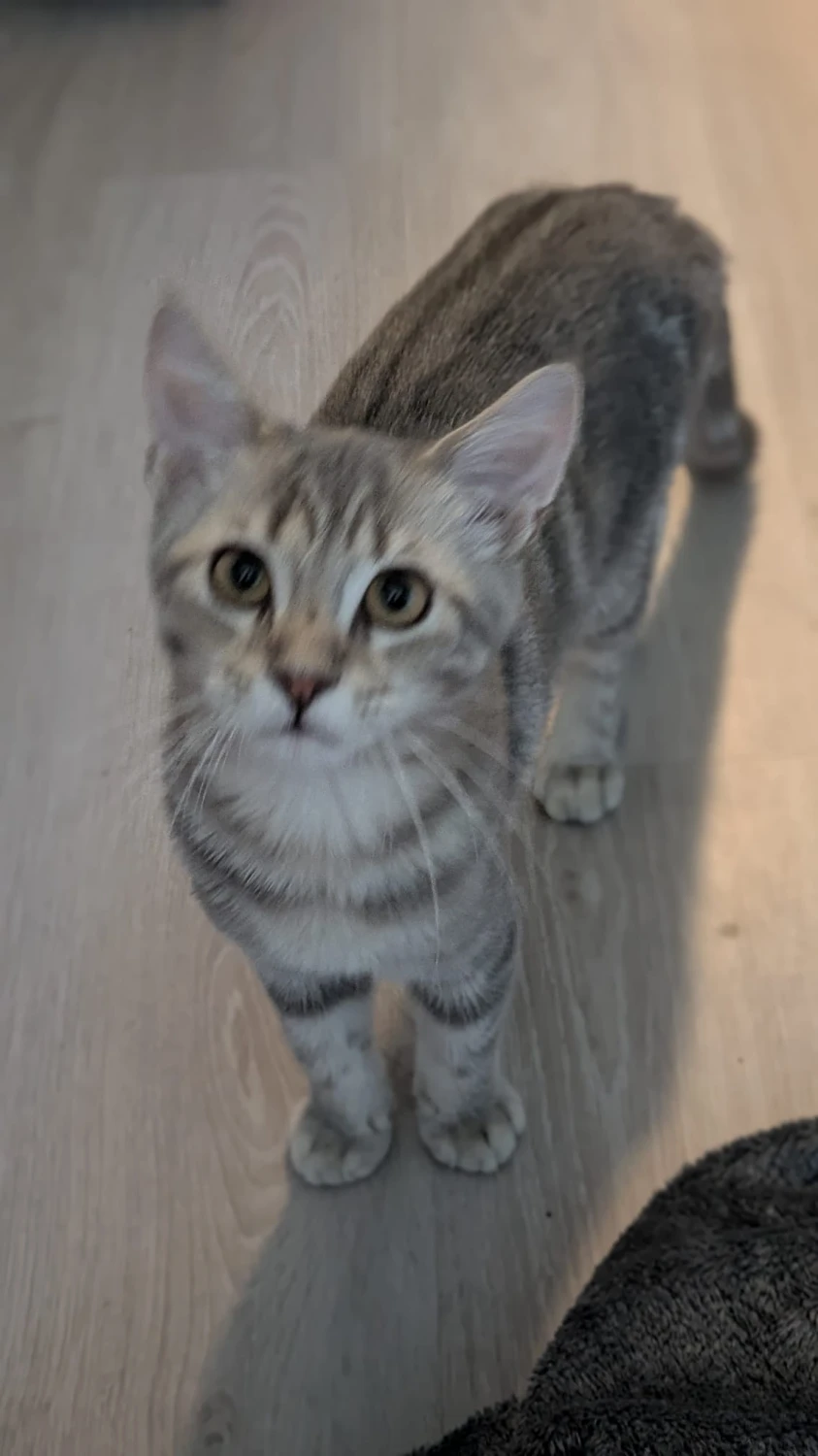 Moby, foto 2