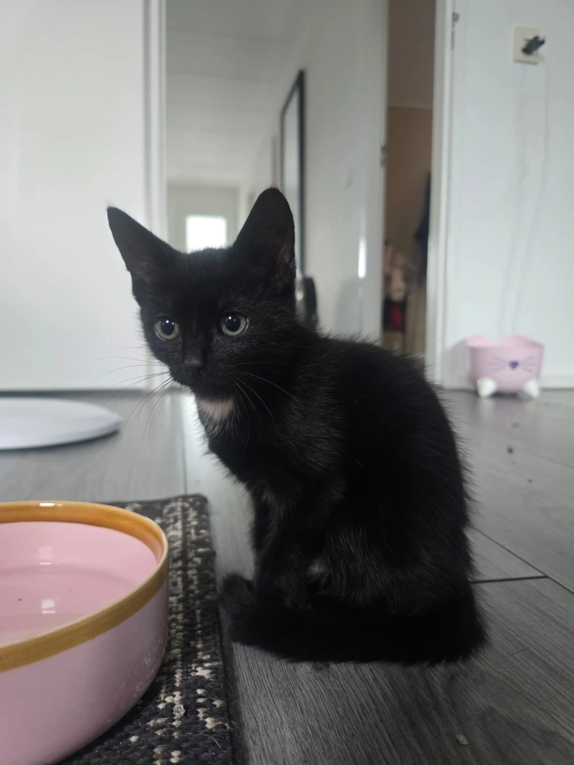 Nori