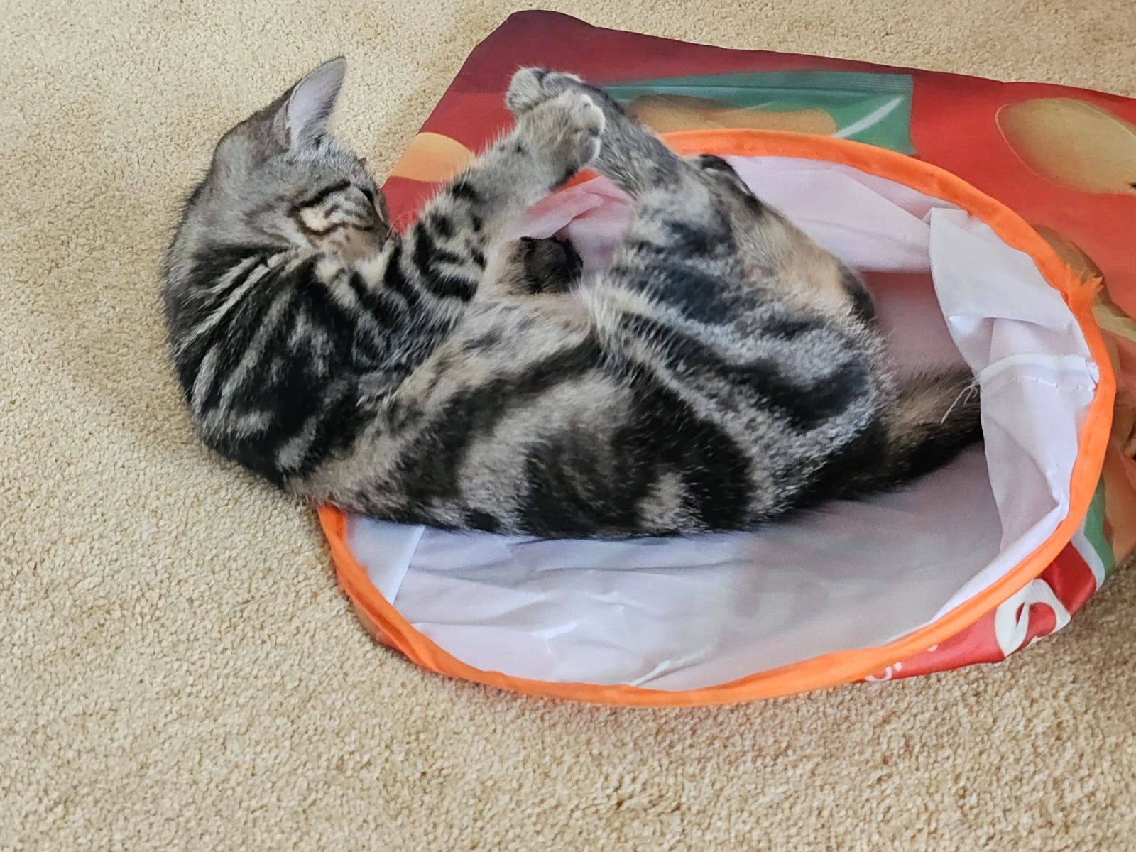 Mila & Nova, foto 7