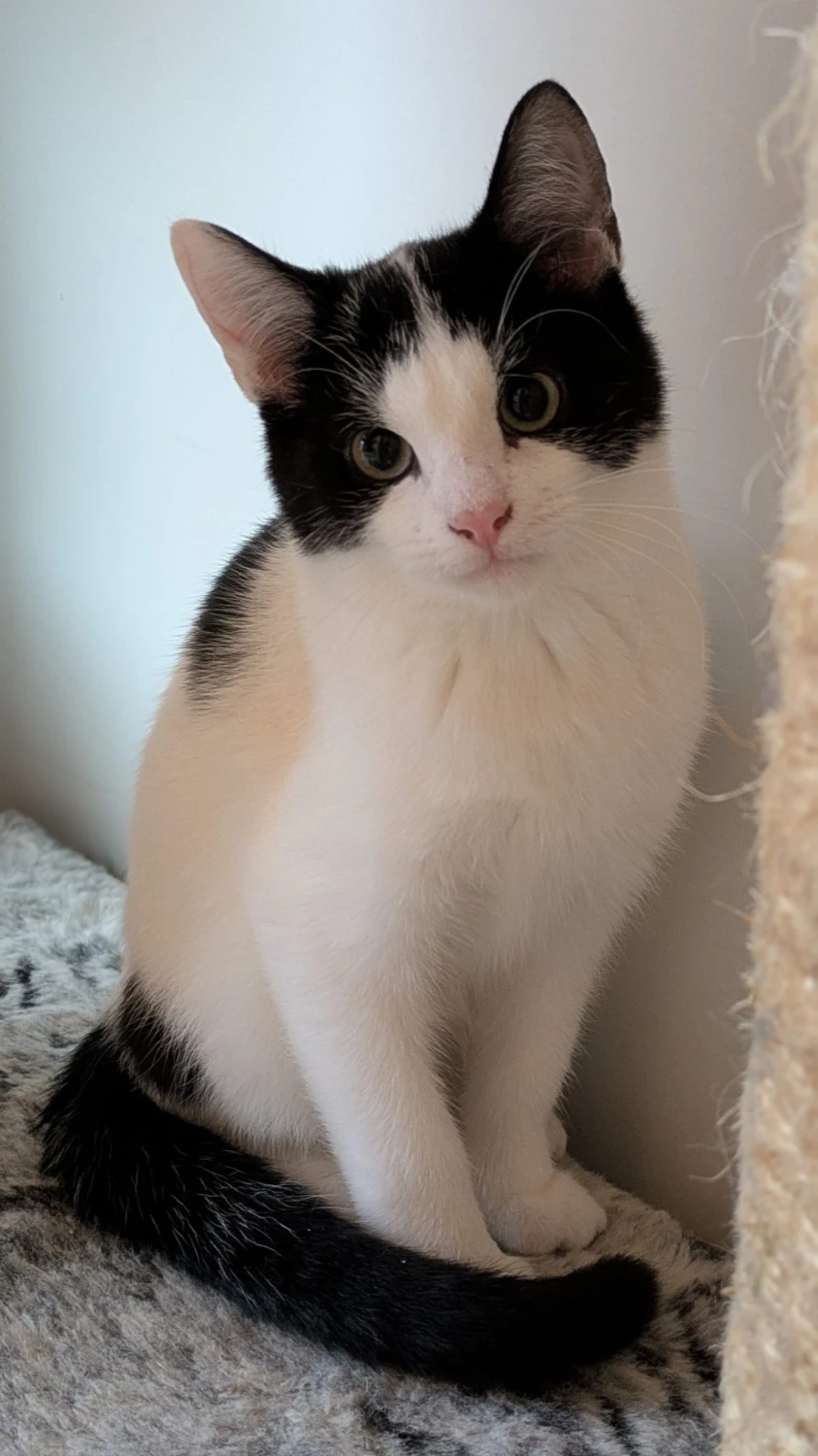 Marvin